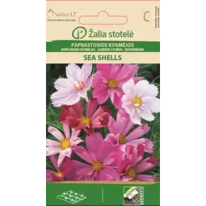 Космос Микс Морски миди / Cosmos Bipinnatus Cav.