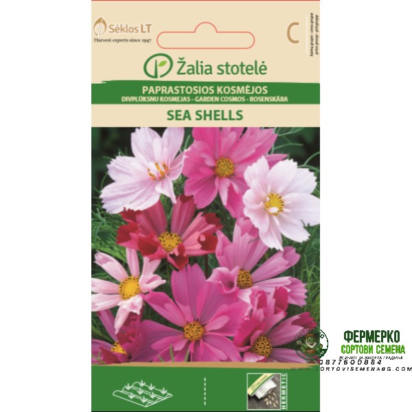 Космос Микс Морски миди Sea shells mix