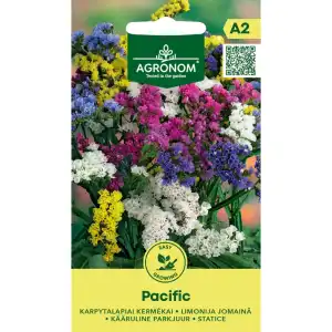 Лимониум Пасифик Limonium sinuatum Pacific