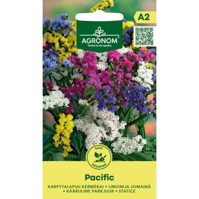 Лимониум Пасифик / Limonium sinuatum Pacific