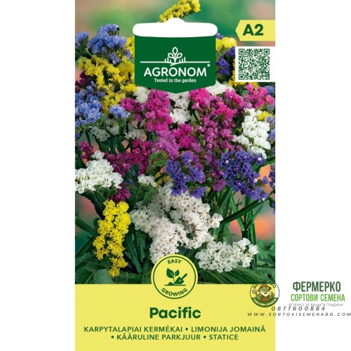 Лимониум Пасифик / Limonium sinuatum Pacific