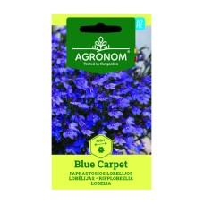 Лобелия Син килим Lobelia Blue carpet