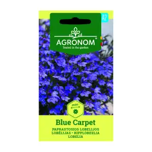 Лобелия Син килим /  Lobelia Blue carpet