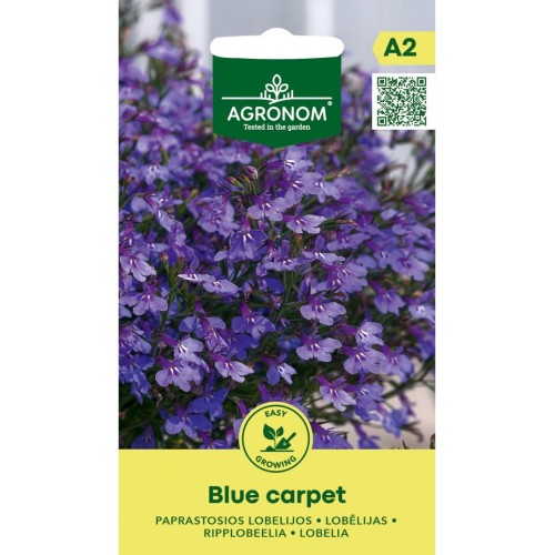 Лобелия Син килим /  Lobelia Blue carpet
