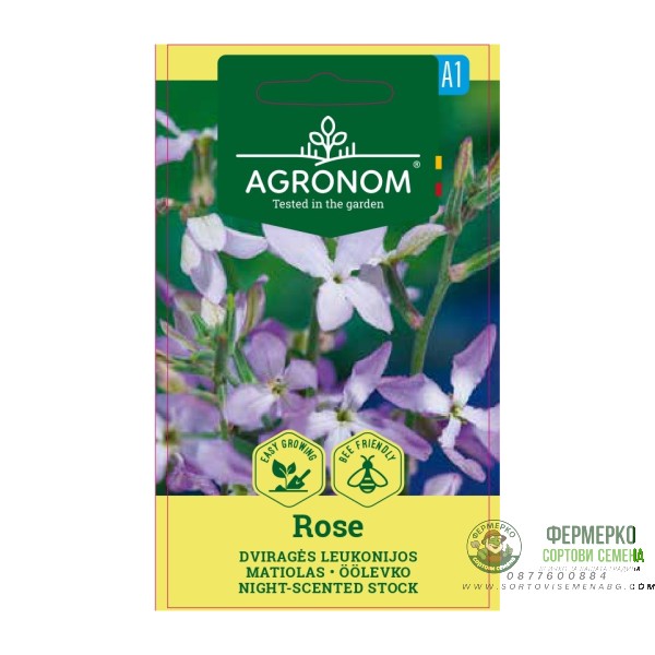 Матиола Matthiola bicornis (Sibth et Sm) DC Rose Матиола Matthiola bicornis (Sibth et Sm) DC Rose