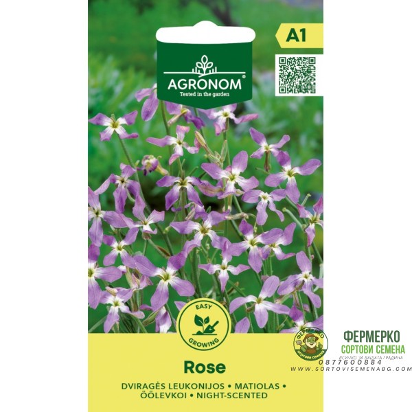 Матиола Matthiola bicornis (Sibth et Sm) DC Rose