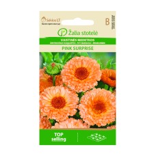Медицински Невен Pink Surprise Calendula officinalis L.