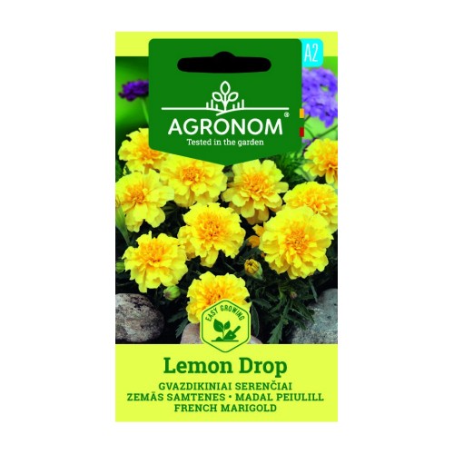 Тагетес Лимон / Tagetes Lemon Drop