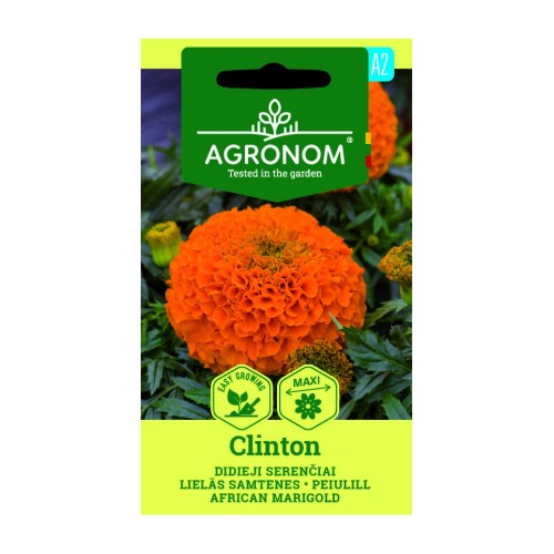 Тагетес Клинтон / Tagetes Erecta Clinton