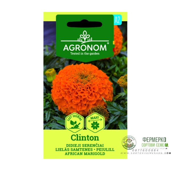 Тагетес Клинтон Tagetes Erecta Clinton