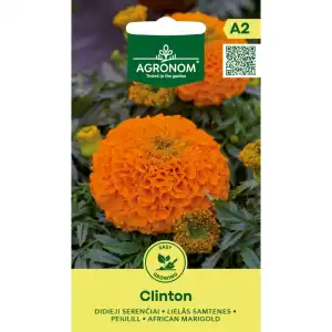 Тагетес Клинтон / Tagetes Erecta Clinton