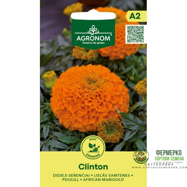 Тагетес Клинтон Tagetes Erecta Clinton