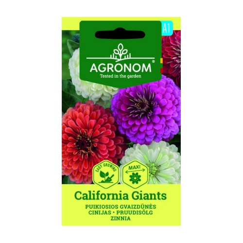Циния Гигант Калифорнийки Микс / Zinnia elegans dahlienflora Californiq Giants