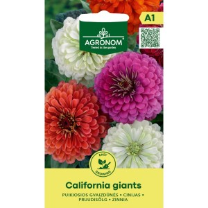 Циния Гигант Калифорнийки Микс / Zinnia elegans dahlienflora Californiq Giants