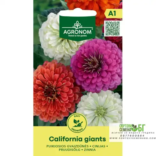 Циния Гигант Калифорнийки Микс / Zinnia elegans dahlienflora Californiq Giants