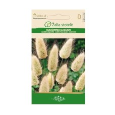 Декоративна трева Заешка опашка Lagurus ovatus L.