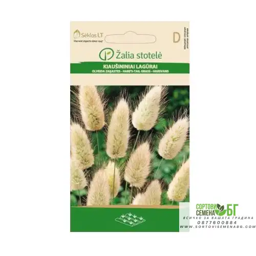 Декоративна трева Заешка опашка / Lagurus ovatus L.