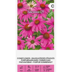 Ехинацея Лилава / Echinacea purpurea (L.) Moench