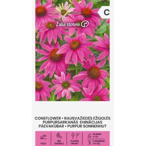 Ехинацея Лилава / Echinacea purpurea (L.) Moench