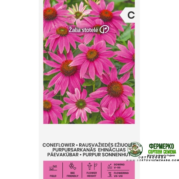 Ехинацея Лилава Echinacea purpurea (L.) Moench