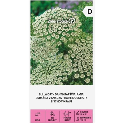 Епископска трева Bullwort / Ammi visnaga