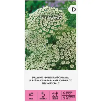 Епископска трева Bullwort / Ammi visnaga