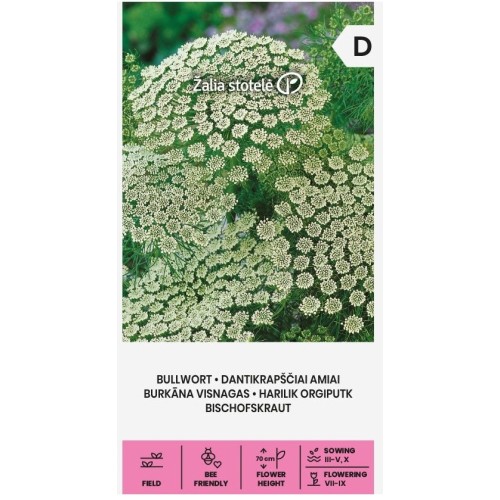 Епископска трева Bullwort / Ammi visnaga