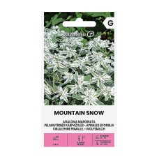 Еуфорбия (Перлена млечка) Mountain Snow