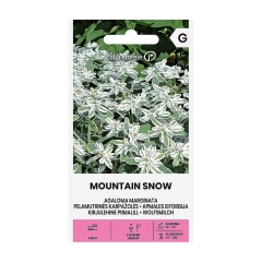 Еуфорбия (Перлена млечка) Mountain Snow