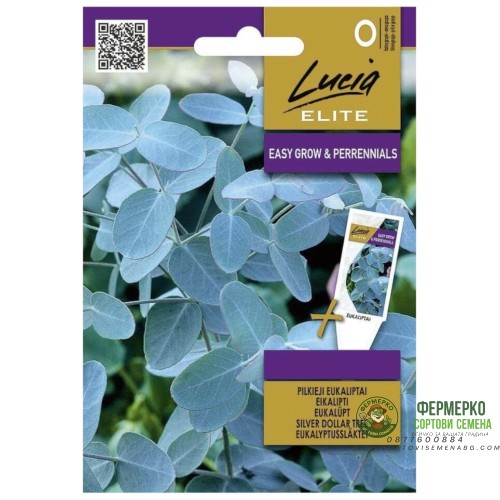 Евкалипт Сребрист Eucalyptus cinerea