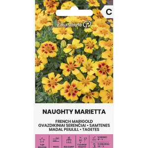 Тагетес Палава Мариета / Tagetes patula Naughty Marietta