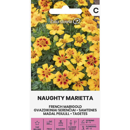 Тагетес (Френски Невен) Палава Мариета / Tagetes patula