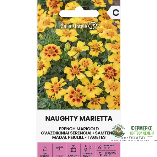 Тагетес Палава Мариета / Tagetes patula Naughty Marietta