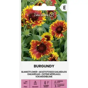 Гайлардия Бургунди / Gaillardia aristata Burgundy