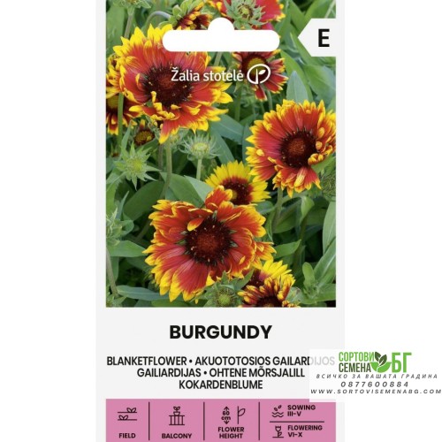 Гайлардия Бургунди / Gaillardia aristata Burgundy
