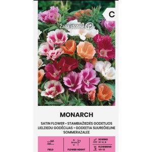 Годеция Монарх (Сатенено цвете) / Godetia grandiflora Lindl.