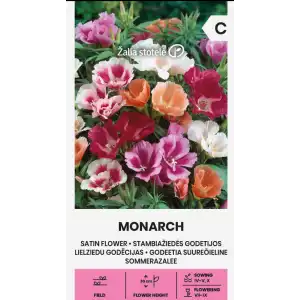 Годеция Монарх (Сатенено цвете) / Godetia grandiflora Lindl.