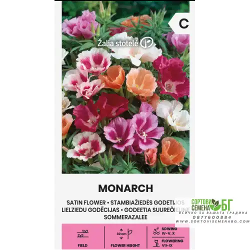 Годеция Монарх (Сатенено цвете) / Godetia grandiflora Lindl.