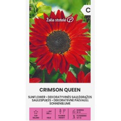 Хелиантус Червена Кралица Helianthus annuus Crimson Queen