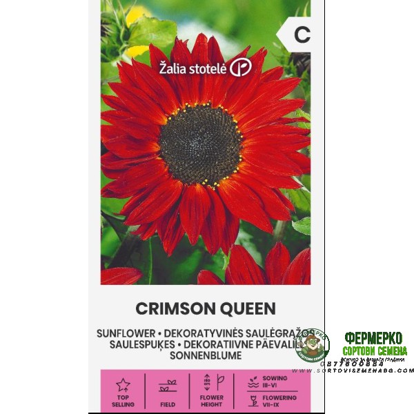 Хелиантус Червена Кралица Helianthus annuus Crimson Queen