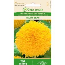 Хелиантус (Слънчоглед) Жълт Мече Helianthus annuus