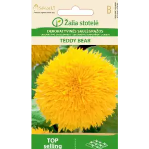 Хелиантус (Слънчоглед) Жълт Мече / Helianthus annuus