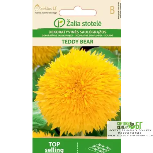 Хелиантус (Слънчоглед) Жълт Мече / Helianthus annuus Хелиантус (Слънчоглед) Жълт Мече / Helianthus annuus