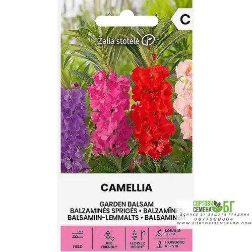 Импатиенс Микс Камелия / Camellia