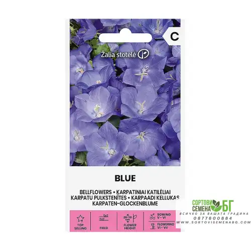 Кампанула Синя / Campanula carpatica Jacq