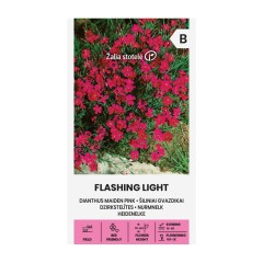 Карамфил Розов Flashing Light Dianthus deltoides