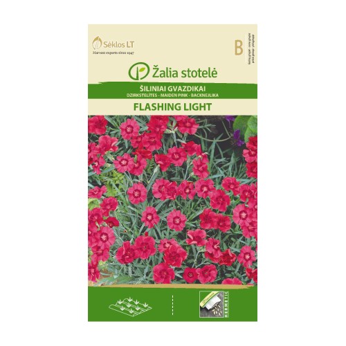 Карамфил Розов Flashing Light / Dianthus deltoides