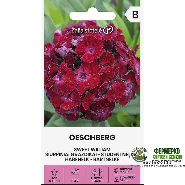 Карамфил Двоен Червен Dianthus barbatus Oeschberg