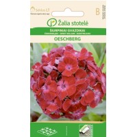Карамфил Двоен Червен Oeschberg / Dianthus barbatus