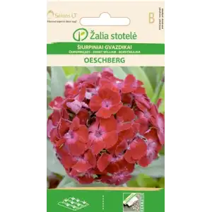 Карамфил Двоен Червен Oeschberg / Dianthus barbatus